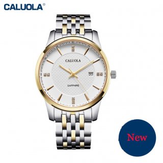Caluola Quartz Men Watch with Date Fashion Simple Watch Steel Waterproof CA1196GL