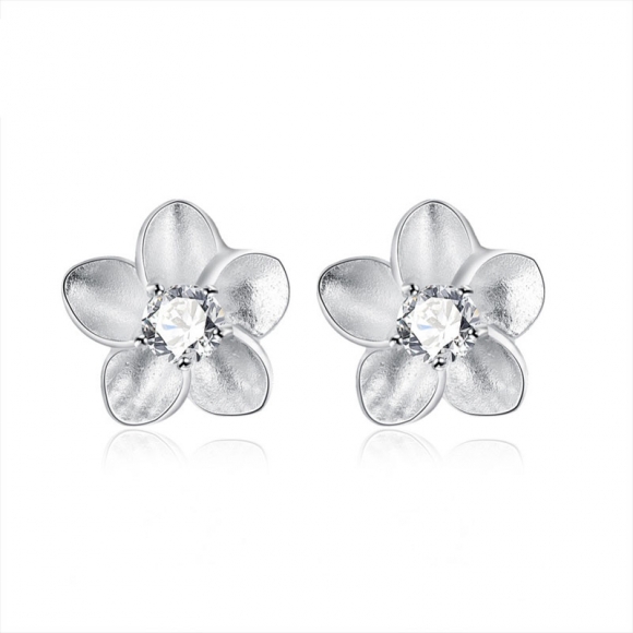 Simple Beautiful Top Quality 925 Sterling Silver Earrings For Women