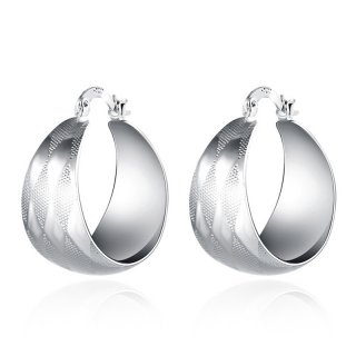 Hot Sale Factory Price Silver Earrings New Fashion Jewelry Silver plated Popular Earrings E713