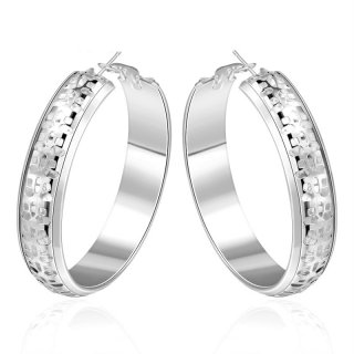 Fashion Diamond Earrings For Women LKNSPCE361