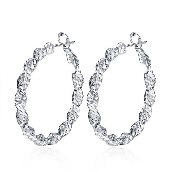 Fashion Classic Circle Silver Earrings For Women LKNSPCE726