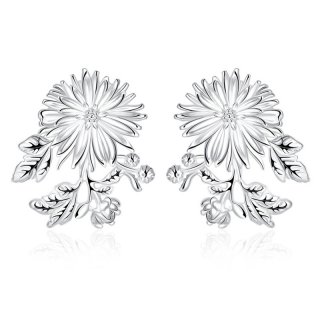 Fashion Silver Plated Earrings For Women LKNSPCE659