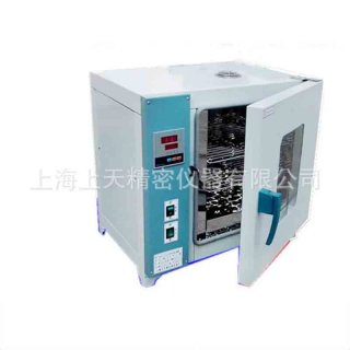 DHG101 Industrial oven Constant temperature drying Digital display heated oven