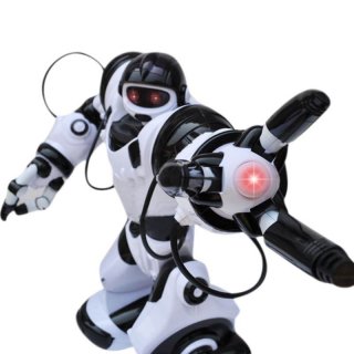 TT313 RC Animal Toys Intelligent Dance&Sing RC Robot For Kids
